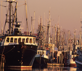 Photographie de bateaux de pêche commerciale à Steveston Docks, Colombie-Britannique