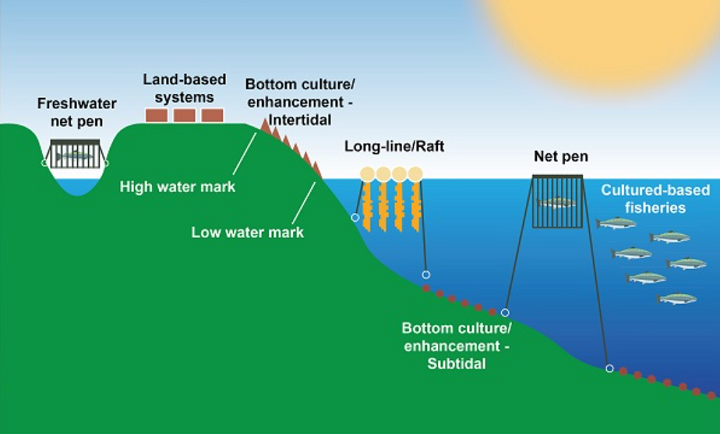 Figure 1 illustrates the different types of aquaculture operations in Canada. They are as follows: freshwater net-pen and land-based systems; intertidal bottom culture enhancement, subtidal bottom culture enhancement; and open water longline/raft, net pen, and culture-based fisheries.