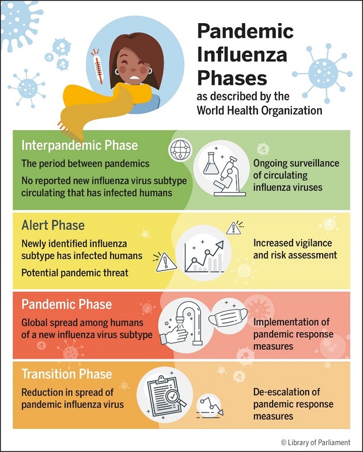 This infographic shows the four pandemic influenza phases used by the World Health Organization. First is the interpandemic phase, when there is no virus circulating that infects humans but surveillance is ongoing. Second is the alert phase, when a virus has been detected and extra vigilance is necessary. Third is the pandemic phase, when there is global spread of human infectious disease requiring pandemic response measures. Fourth is the transition phase, as infection levels decrease and there is a de-escalation of pandemic response measures. 