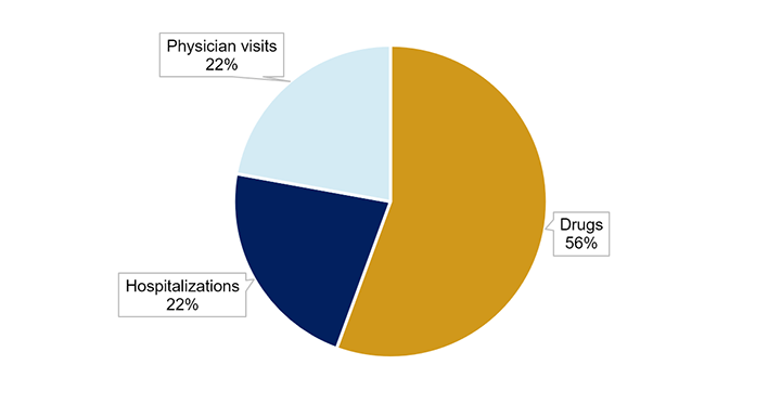 Figure 4 is a pie chart which shows the distribution of costs associated with diabetes. It reveals that drugs account for the largest proportion of costs at 56%, while hospitalizations and physician visits each account for 22% of costs.