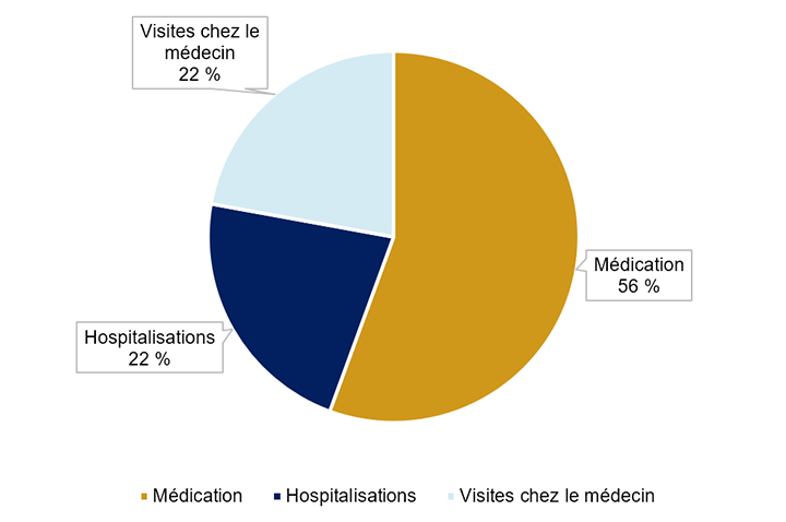 La figure 4 montre la répartition des coûts liés au diabète. Elle révèle que la médication représente la majeure partie des coûts, soit 56 %, et que les hospitalisations et les visites chez le médecin représentent respectivement une part de 22 % des coûts.