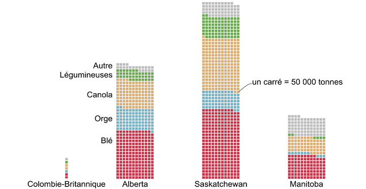 Diagramme représentant la production de grain à travers l’ouest du Canada. La première province productrice de grain en volume est la Saskatchewan, suivie de l’Alberta et du Manitoba. La Colombie-Britannique se classe loin derrière ces trois provinces. Dans chaque province, le blé et le canola représentent une part significative de la production. L’orge est également importante en Alberta et, dans une moindre mesure, en Saskatchewan alors qu’elle est presque absente de la production du Manitoba. Les légumineuses représentent le troisième groupe de culture produite en Saskatchewan, derrière le blé et le canola. Les légumineuses sont également importantes en Alberta où elles se classent au quatrième rang derrière le blé, le canola et l’orge.