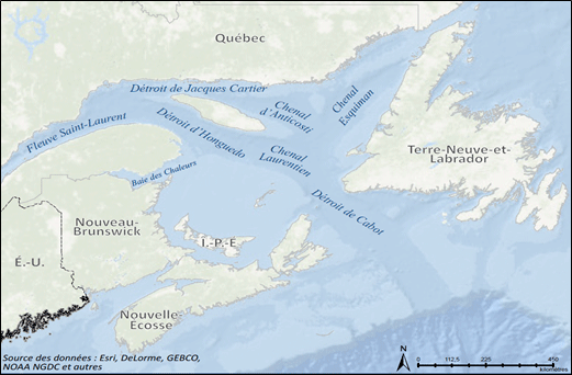 Figure 2 – Voies navigables du golfe du Saint-Laurent